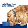 Prescription Diet Canine z/d Cans