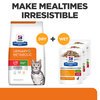 Prescription Diet Feline c/d Metabolic + Stress