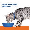 Prescription Diet Feline c/d Metabolic + Stress