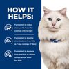 Prescription Diet Feline c/d Multicare Stress Cans