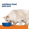 Prescription Diet Feline c/d Multicare Stress Cans