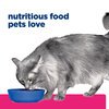 Prescription Diet Feline Gastrointestinal Biome