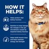 Prescription Diet Feline k/d + j/d