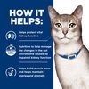 Prescription Diet Feline k/d Chicken Pouches