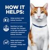 Prescription Diet Feline k/d Stew Cans