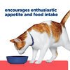 Prescription Diet Feline ONC Care Cans