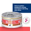 Prescription Diet Feline ONC Care Cans