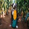 ZippyPaws Jigglerz - Corn