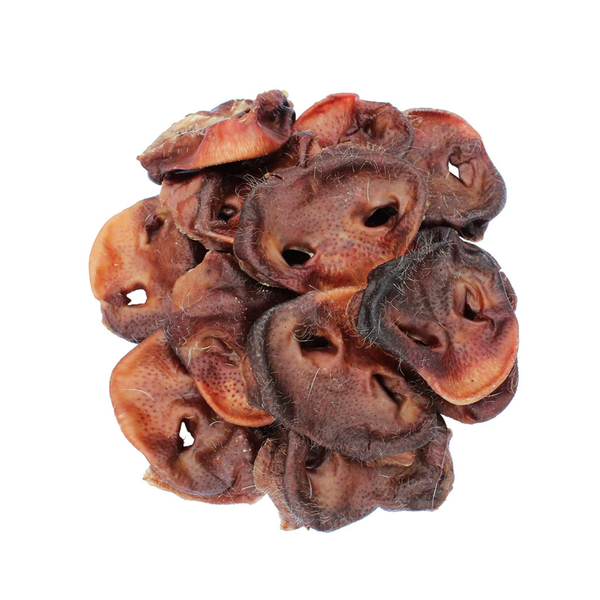 Pig Snouts - Single