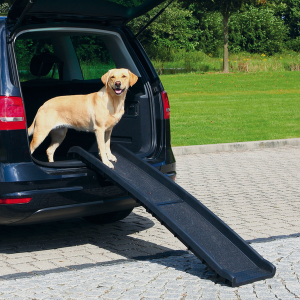 Petwalk Folding Ramp