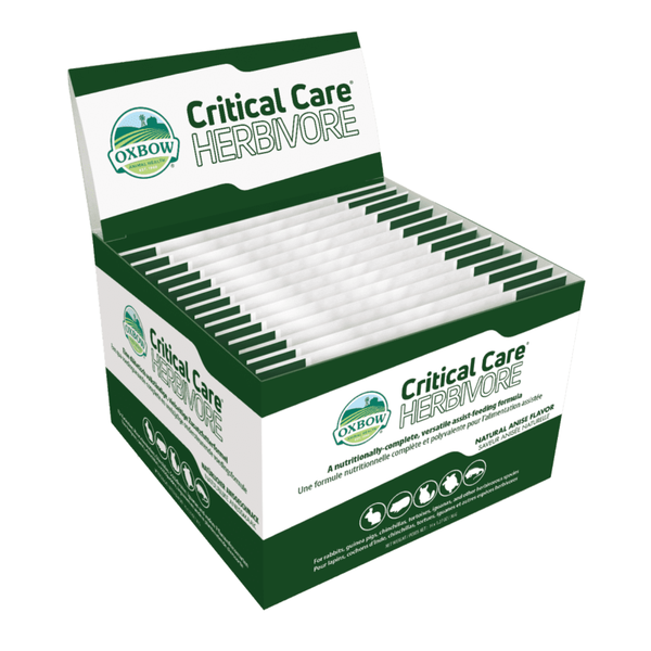 Critical Care Daily Dose