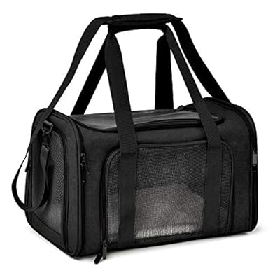 Collapsible Mesh Pet Carrier