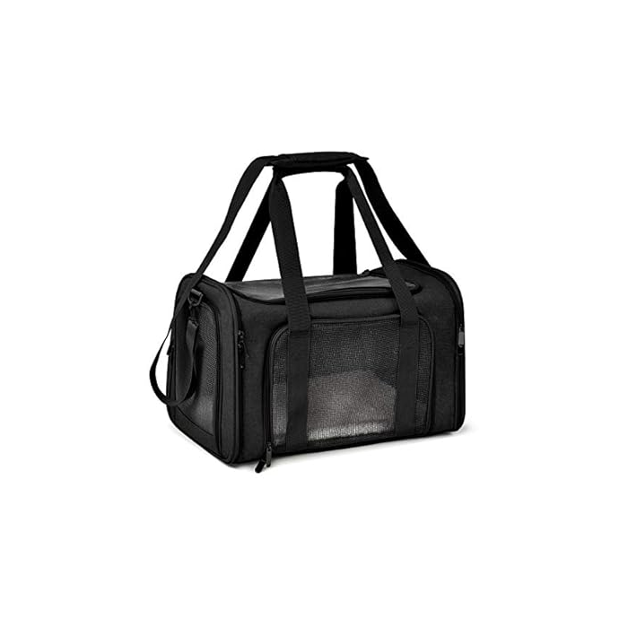 Collapsible Mesh Pet Carrier