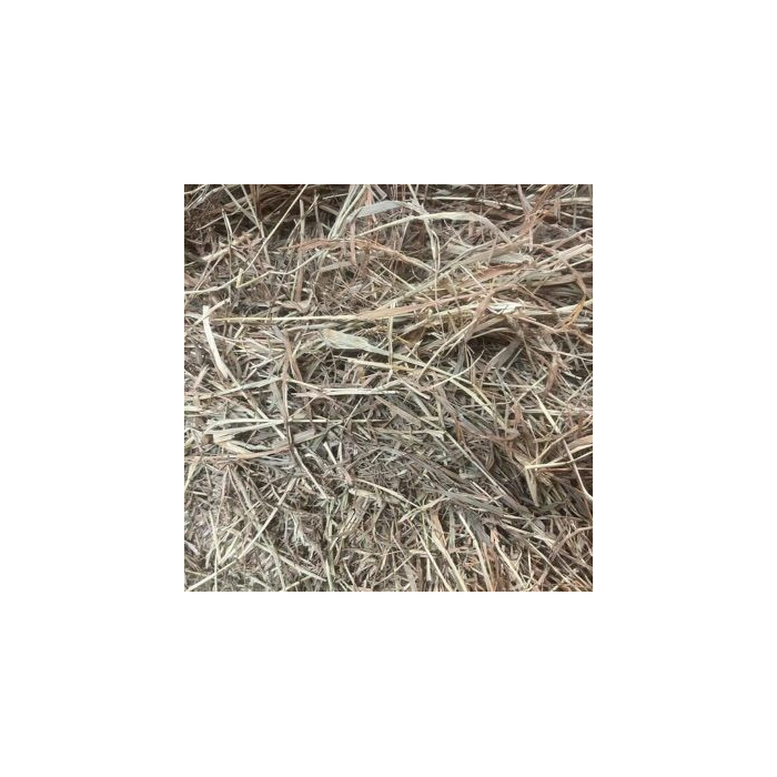 Premium Timothy Hay - Compressed