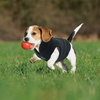 DOCO Everyday Polar Fleece for Small Dogs