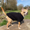 Small Dog Cozy Twist Sweater - Black