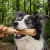 Bonno - The Manuka Chew for Dogs 