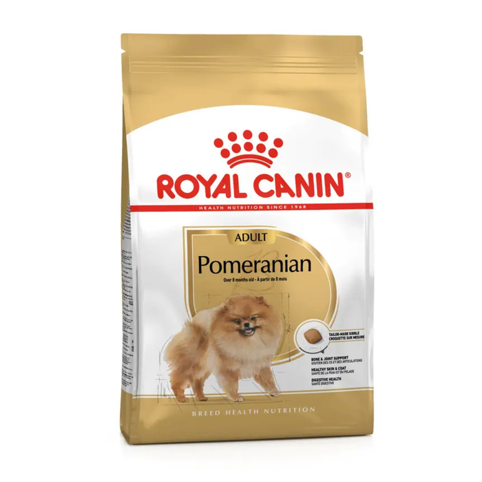 Pomeranian 