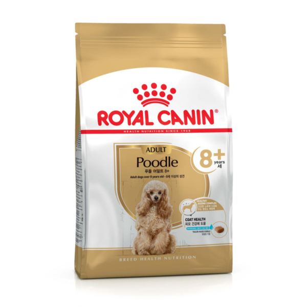 Poodle 8+
