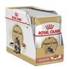 Maine Coon Pouches