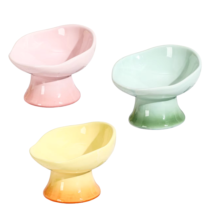 Raised Slanted Ceramic Bowl