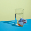 Barbara the Blue Fish 