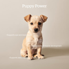 NOW FRESH Turkey, Salmon & Duck Small Breed Puppy Recipe