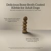 NOW FRESH Good Gravy Salmon Recipe - Adult Dog 