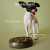 NOW FRESH Good Gravy Chicken Recipe - Small Breed Adult Dog 