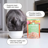 NOW FRESH Shredded Chicken, Duck & Broth Adult Cat 71g