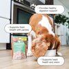 NOW FRESH Small Breed Shredded Chicken & Broth - 79g
