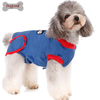 Protective Recovery Dog Body Suit