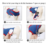 Protective Recovery Dog Body Suit