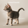 Grain-Free Turkey, Salmon &  Duck Adult Cat Recipe 
