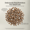 Grain-Free Turkey, Salmon &  Duck Adult Cat Recipe 