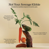 NOW FRESH Turkey, Salmon & Duck Senior Recipe