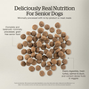NOW FRESH Turkey, Salmon & Duck Senior Recipe