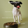 NOW FRESH Turkey, Salmon + Duck Small Breed Senior Recipe