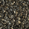 New Zealand Sunflower Seed