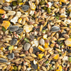 Soak & Sprout Mix