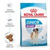 Giant Junior