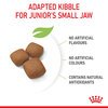 Giant Junior