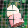 Wild Bird Energy Truffles - Berry