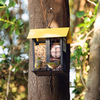 Snack Shack