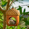 The Nut Hut
