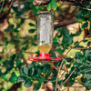 Nectar Feeder