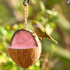 Wild Bird Bug & Berry Coconut Feeder - Limited Edition