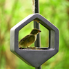 Geo Feeder