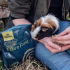 The Pick - Fibre Feast for Guinea Pigs