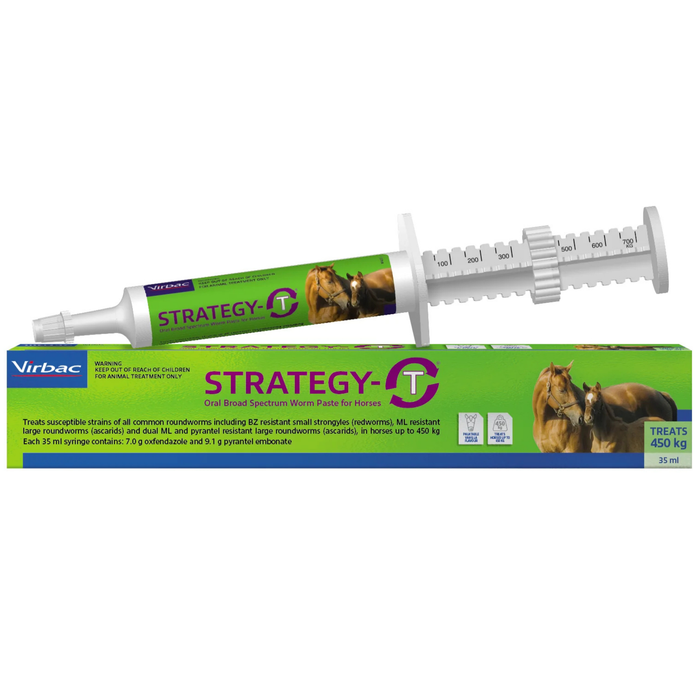 Strategy T Paste 